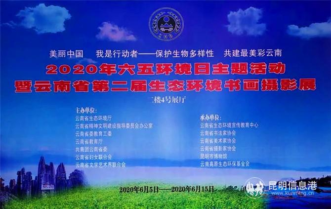 云南省第二届生态环境书画摄影展截止至6月15日